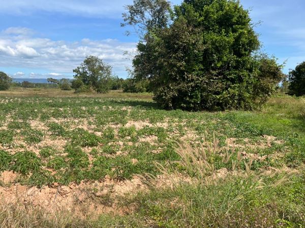 ขายที่ดิน 35 ไร่ อำเภอกบินทร์บุรี ปราจีนบุรี ติดถนนคอนกรีต เหมาะทำโรงงานหรือโกดัง ทำโคกหนองนา ติดถนนคอนกรีต